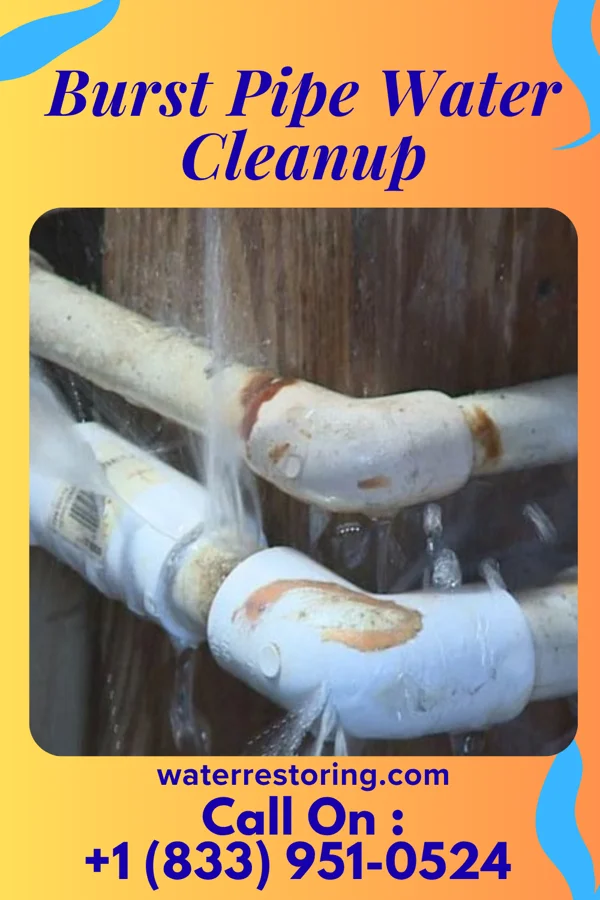 Burst Pipe Water Cleanup in Wind Gap, PA