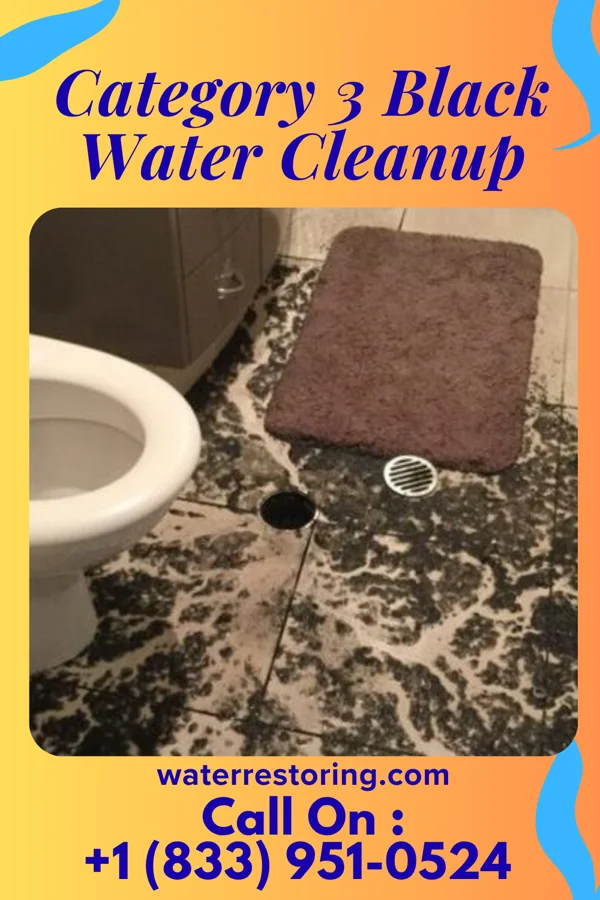 Category 3 Black Water Cleanup in Wind Gap, PA
