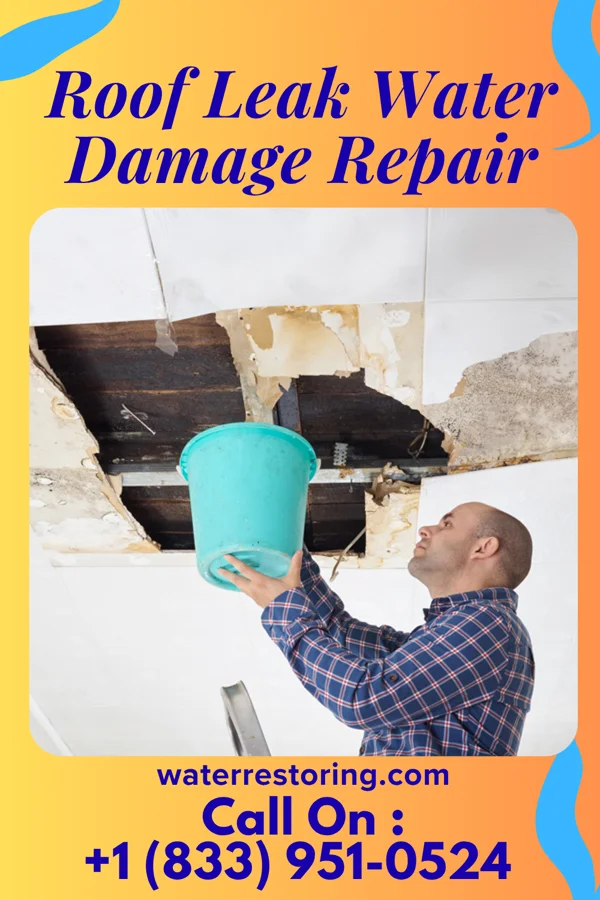 Roof Leak Water Damage Repair in Wind Gap, PA